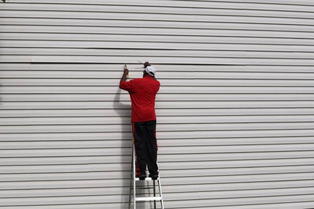 Best Fascia and Soffit Installation  in Whetstone, AZ