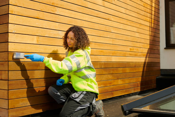Best Siding Painting and Refinishing  in Whetstone, AZ